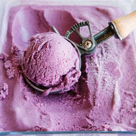 vegan-blueberry-coconut-ice-cream-wallflower-kitchen image