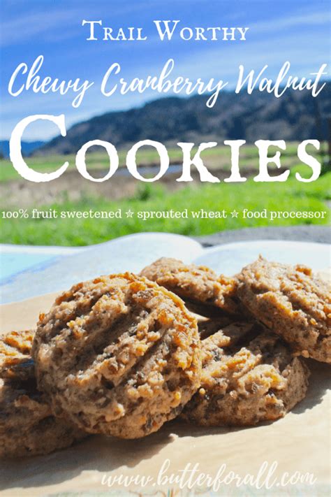 trail-worthy-chewy-cranberry-walnut-cookies-made-in image