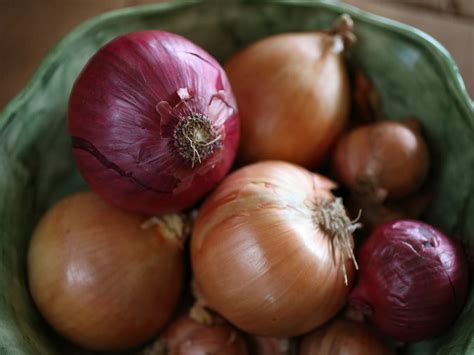 caramelised-onion-recipe-maggie-beer image