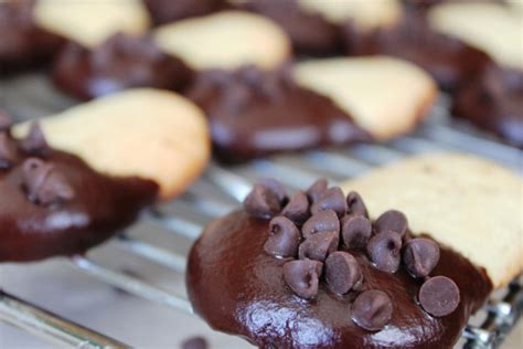 chocolate-dipped-ladyfingers-my-recipe-reviews image