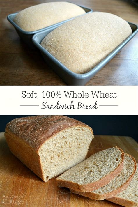 easy-soft-100-whole-wheat-sandwich-bread-tutorial image