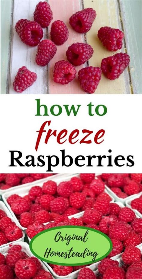 freezing-raspberries-easy-way-to-freeze-berries image