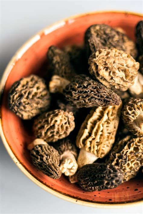 how-to-cook-morels-great-british-chefs image