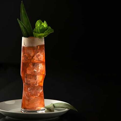 hibiscus-punch-cocktail-old-forester-cocktail image