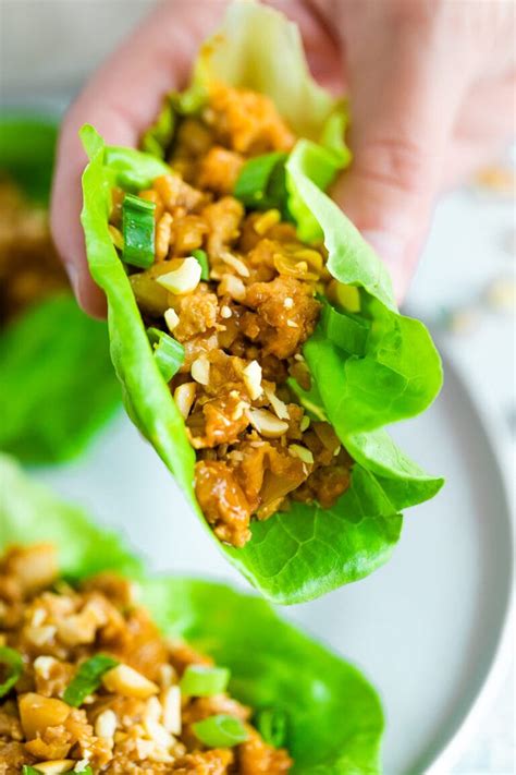 asian-chicken-lettuce-wraps-eating-bird-food image