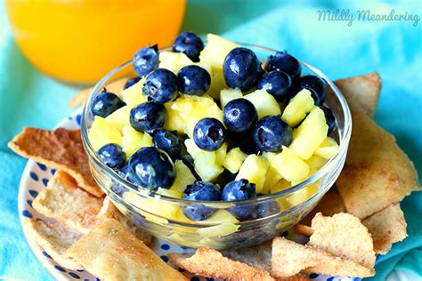 blueberry-pineapple-fruit-salsa-the-crafting-nook image