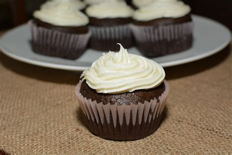 chocolate-mayonnaise-cupcakes-the-cookin-chicks image