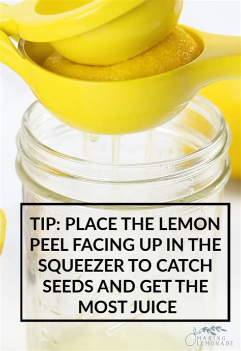 how-to-make-the-best-lemonade-ever-making image