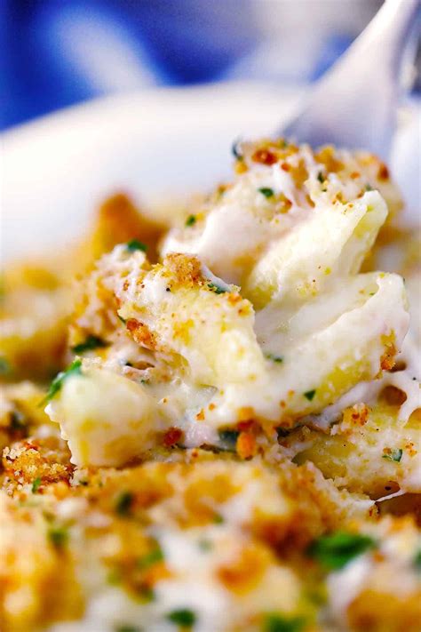 italian-mac-and-cheese-with-crispy-breadcrumbs image