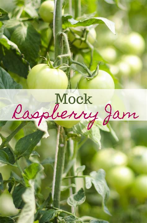 mock-raspberry-jam-and-other-ways-to-use-green image