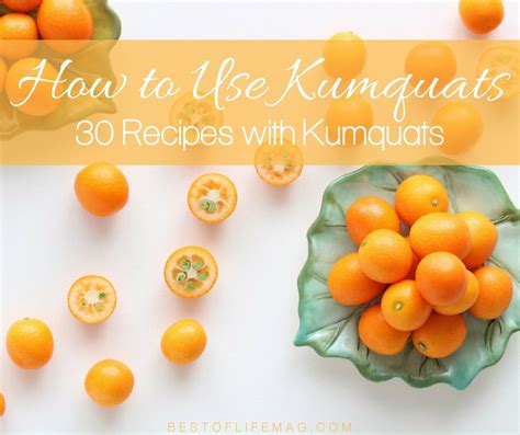 how-to-use-kumquats-30-recipes-with-kumquats image