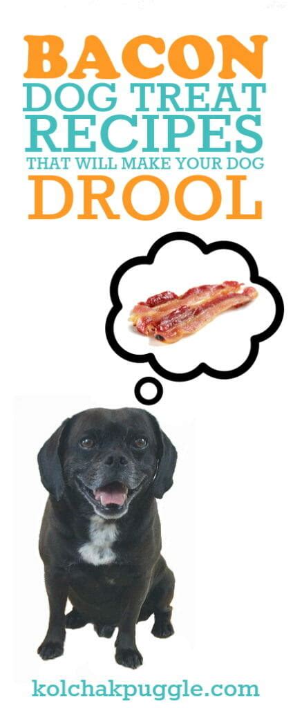 7-bacon-dog-treat-recipes-that-will-make-your-dog image