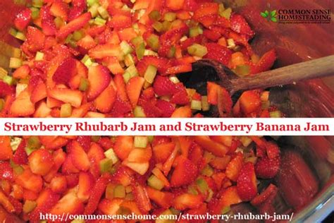 strawberry-rhubarb-jam-easy-recipe-quick-cook-less image