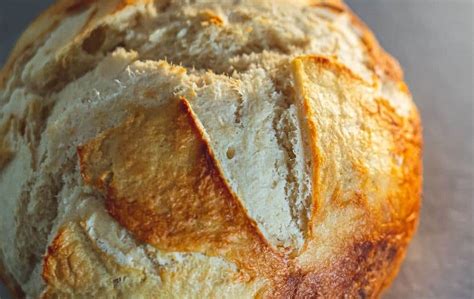 how-to-make-bread-in-a-cast-iron-dutch-oven-no-knead image