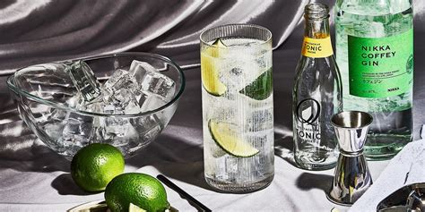 best-gin-and-tonic-recipe-how-to-make-a-perfect-gin image