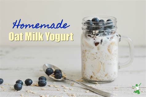 how-to-make-oat-milk-yogurt-at-home-healthy-home image