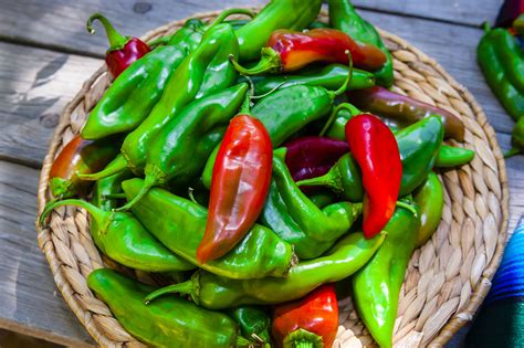 new-mexico-green-chiles-and-red-chiles-the-spruce image