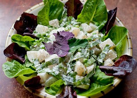 sorrel-salad-with-creamy-chive-dressing image
