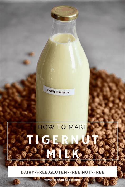 homemade-tiger-nut-milk-horchata-de-chufa image