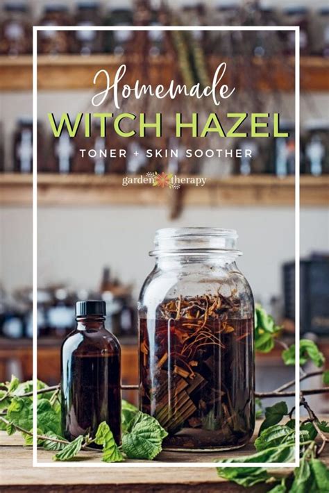 homemade-witch-hazel-toner-skin-soother-from-scratch image