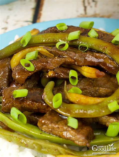 stir-fried-beef-with-string-beans-grow-a-good-life image