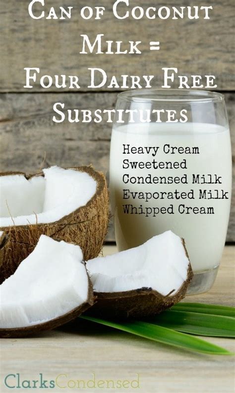 vegan-substitutes-for-sweetened-condensed-milk image