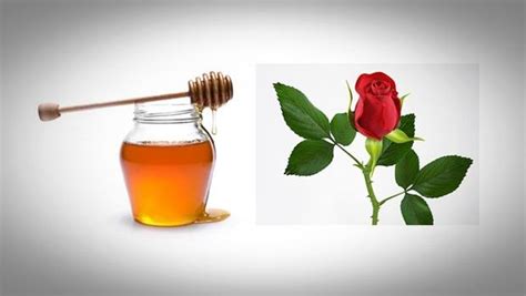 homemade-rose-face-mask-recipe-16-best-solutions image