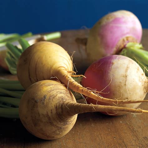 turnips-and-rutabagas-recipes-for-two-great-roots-that image