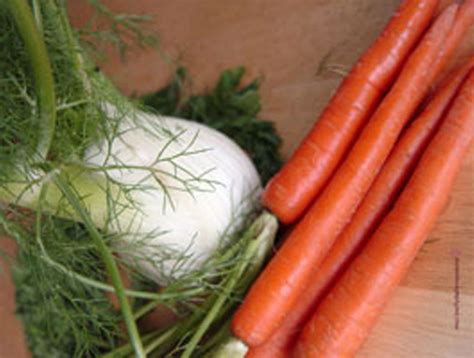 carrot-for-baby-food-wholesome-baby-food image