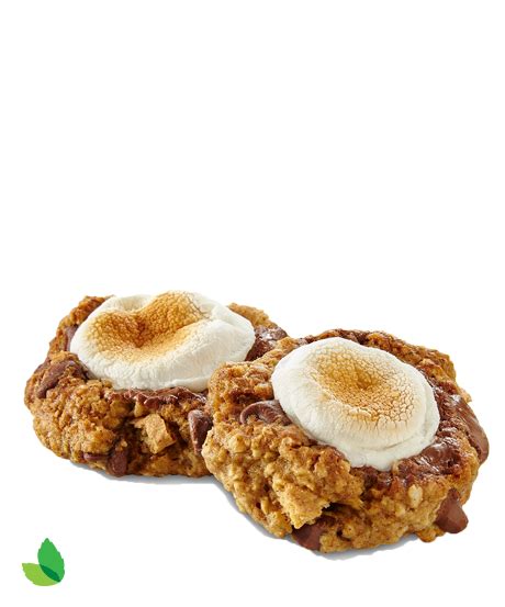 oatmeal-smore-cookies-recipe-truva image