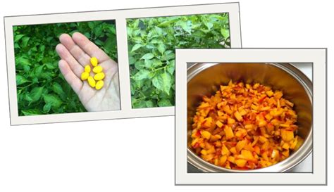 sweet-heat-make-jam-using-hot-peppers-peaches image