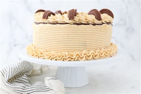 chocolate-peanut-butter-cake-beyond-frosting image