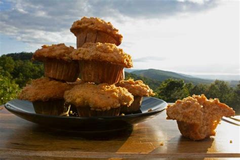 applesauce-muffins-with-cinnamon-crumb-topping image