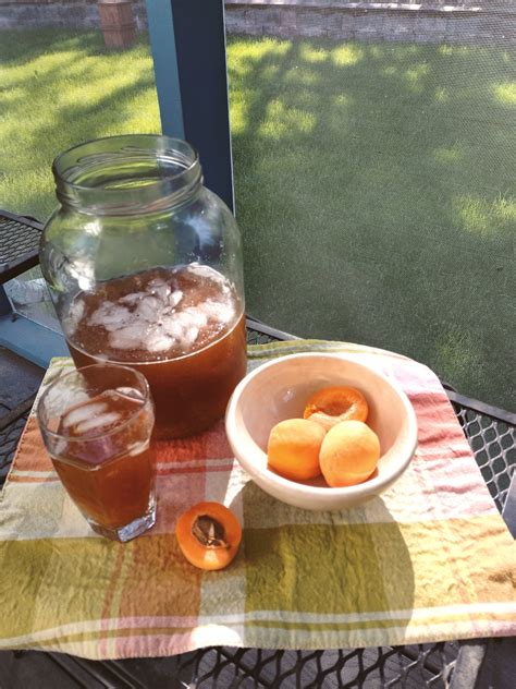 sunny-apricot-iced-tea-one-homely-house image