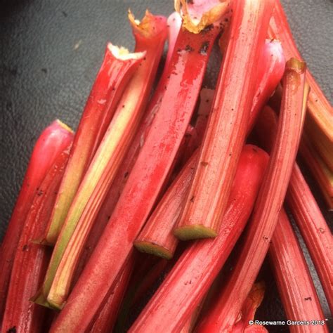 recipe-rhubarb-date-and-ginger-chutney image