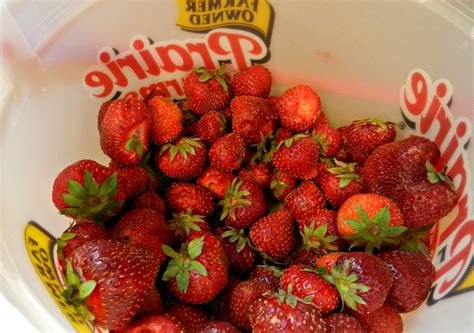 farm-food-grandmas-strawberry-shortcake-a image