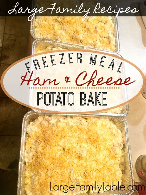 ham-and-cheese-potato-bake-largefamilytablecom image