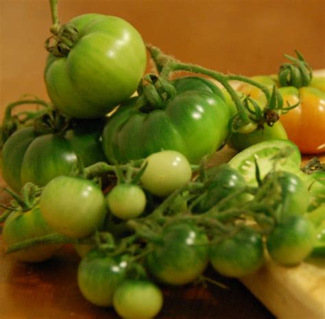 sarahs-green-tomato-soup-recipe-for-green image