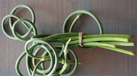 how-to-cook-with-garlic-scapes-bon-apptit-bon image