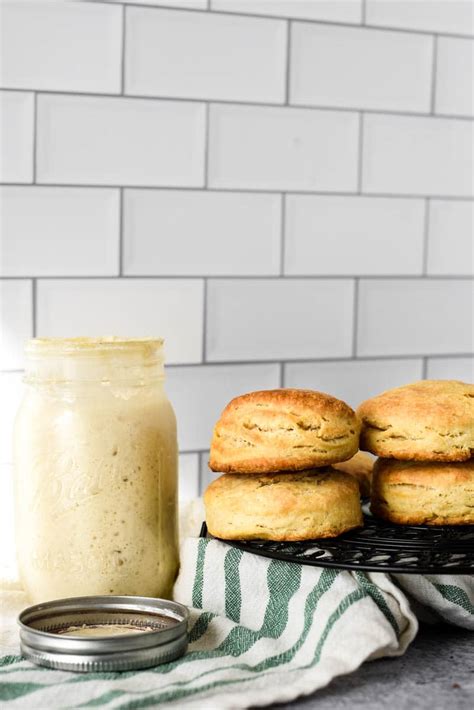 easy-sourdough-buttermilk-biscuits-the-gingered-whisk image