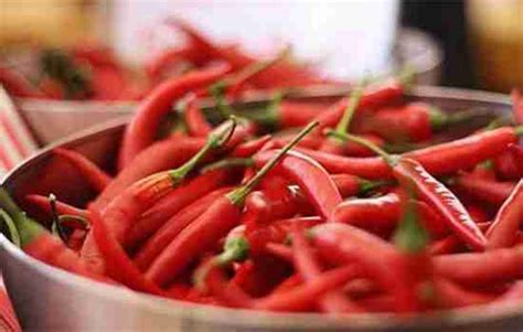 7-types-of-chinese-chili-peppersyou-dare-to image