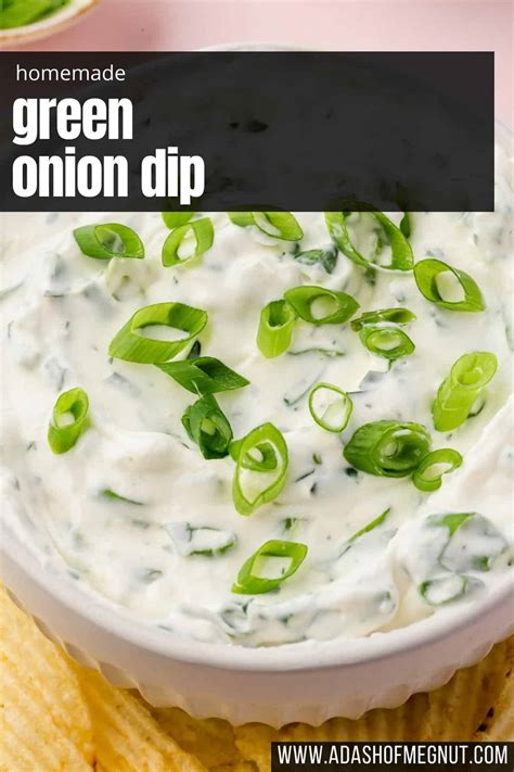 green-onion-dip-a-dash-of-megnut image