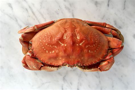 how-to-cook-and-clean-fresh-crabs-the-spruce-eats image