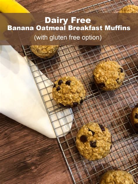dairy-free-banana-oatmeal-muffins-lynns-kitchen image