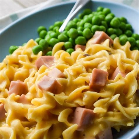 one-pot-cheesy-ham-and-noodle-casserole-dance image