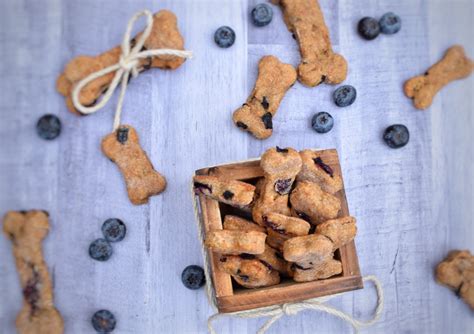 easy-4-ingredient-blueberry-dog-treats-sprinkles-sea image