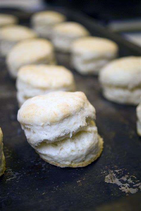 southern-style-biscuits-down-home-comfort-food image
