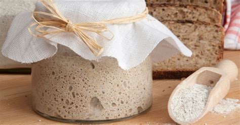 10-different-types-of-sourdough-starters-and-how-to image