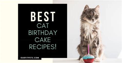 best-cat-birthday-cake-recipes-our-fit-pets image