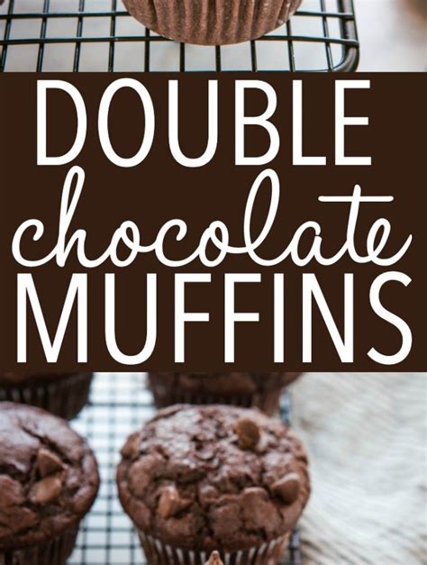 best-ever-double-chocolate-chip-muffins-the-busy-baker image